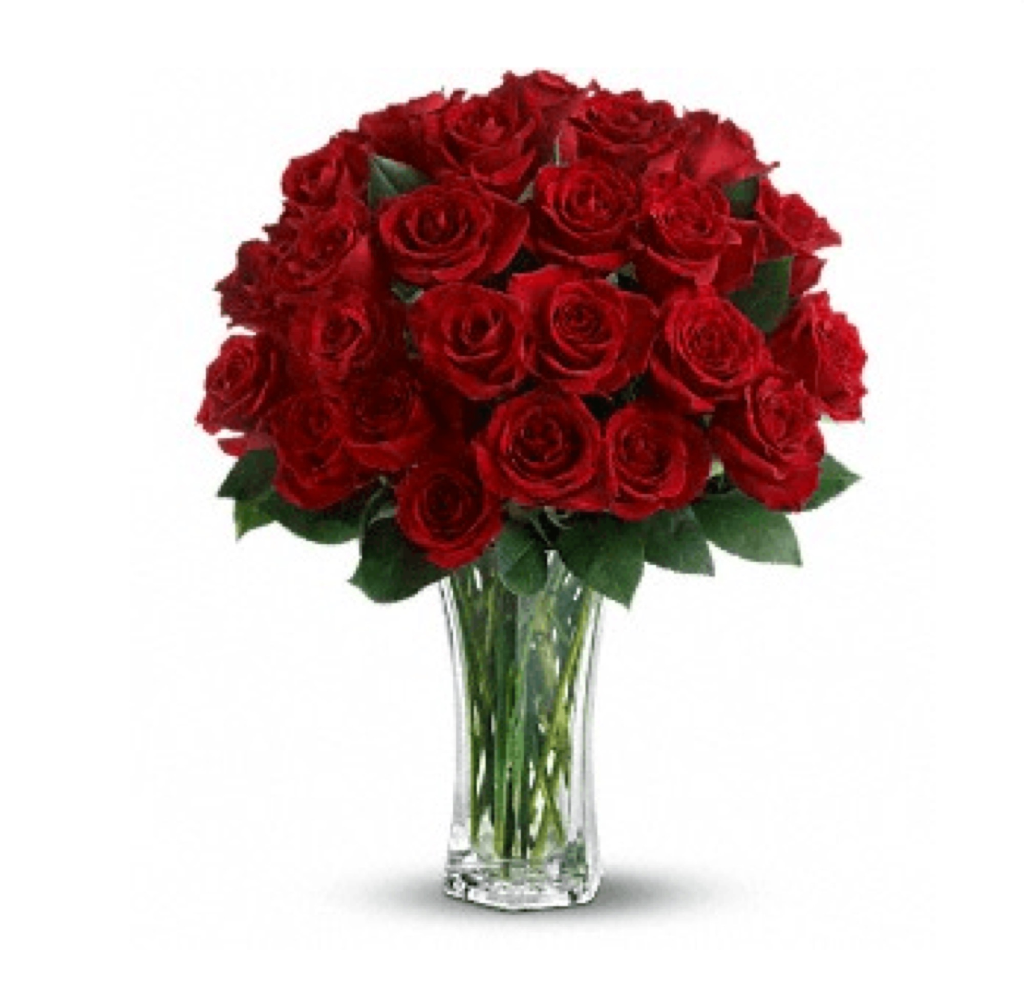 2 Dozen Red Roses